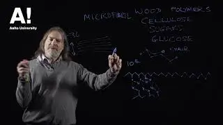 What is Wood (3) Wood polymers - cellulose