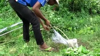Traditional Rabbit Trapping in Cambodia-Amazing Catch Rabbit in Cambodia-How to catch Rabbit
