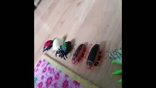 Insects size Comparison 3D