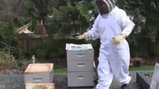 April 16/11 Senga's Vlog Combining Bee Hives