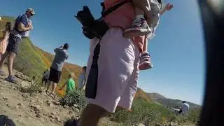 Walker Canyon Poppy Fields