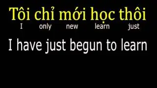 Vietnamese lesson 2, self-introduction (southern accent) HD
