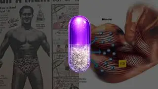The Great Fitness Industry Deception: The deceptive & misleading practices of the fitness industry