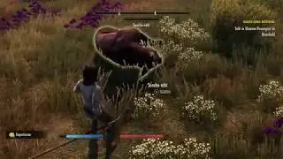 The Elder Scrolls Online: Elsweyr - Senche-raht Fight (Necromancer Class) PS4 Pro Gameplay (2019)