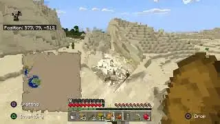 Minecraft Hardcore