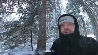 Pieni metsä video