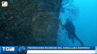 PROSEGUONO RICERCHE DEL CORALLARO DISPERSO