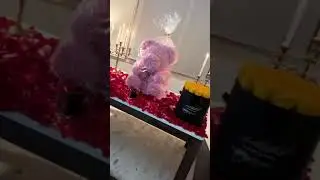 DYLAN THIRY 24H STORY INSTAGRAM   14 f&eacute;vrier 2019
