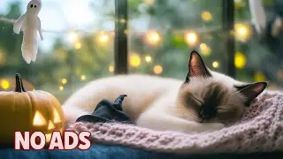 12 Часов Нежной Кошачьей Музыки для Сна 🐈 Мягкие Ночные Звуки ♬ Комфорт для Нервных Кошек
