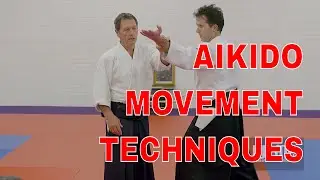 AIKIDO Movement Techniques FINESSE Christian Tissier pt14