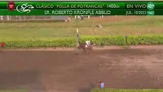 OTRA REALIDAD,  Polla de Potrancas 