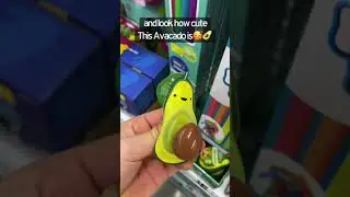 Look how cute this avocado fidget is!!🥑😍