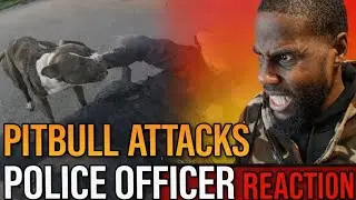 Pit Bull Attacks Police Officer During Terrifying Rampage! | Mpack Reacts 