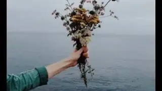 Mint Julep - To the sea (other version)