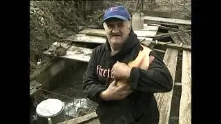 Emin i medvjed Laka