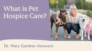 What is Pet Hospice Care?