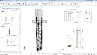 Automated Reinforcement - Columns
