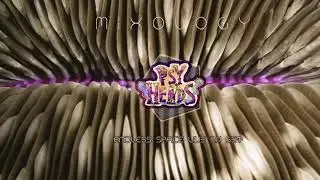 Psy Heads | Mixology vol.01 with Endless Space | October 2020