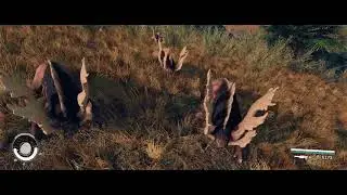 Cute Starfield Creatures