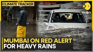 All-India Weather Forecast: Monsoon Begins Retreating From Delhi | WION Climate Tracker