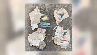 Nate Scheible - plume01