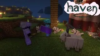 [Haven SMP] For Every Fragile Bond You Make (Full)