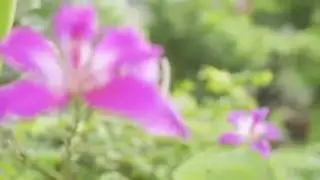 Beholder DS1 Gimbal with Sony A7S (24mm and 70mm)