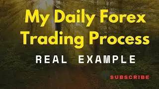 &lrm;My Daily Forex Trading Process //(Real Example)