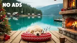 Dog Calming Music For Dogs🎵💖Anti Separation Anxiety Relief Music🐶Sleep dog Healing🎵