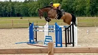 Pilothago DXB (Pilot x Carthago) Jumping training at home!👌🏻💫