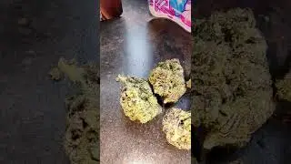 bud porn