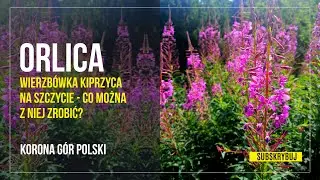 Orlica - Korona G&oacute;r Polski [bezpłatny parking] #kgp