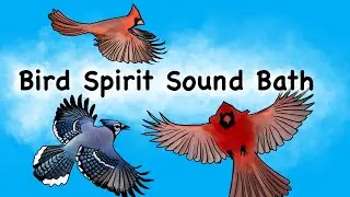 ☀️ ☁️ Bird Spirit Sound Bath 🪶
