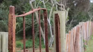 J'avais rêvé d'une poupée