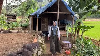 WOWW - ANTAR BIDADARI CANTIK BERHATI MULIA NYARI LOKASI BUAT DAGANG DI PEDESAAN JAWA BARAT