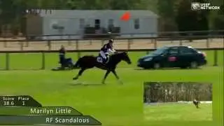 Marilyn Little & RF Scandalous Win the CIC2* in Carolina