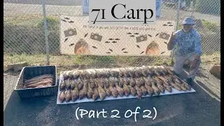 71 Carp - Epic Bow fishing day (Part 2 of 2)