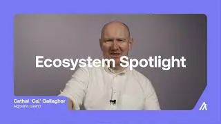 Ecosystem Spotlight: Algorand Casino