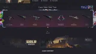 NEW CASE GAVE ME THE AWESOME AK-47 SKINS | CS2 CASE OPENING
