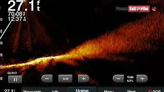 Garmin Panoptix Livescope - Bait  Ball