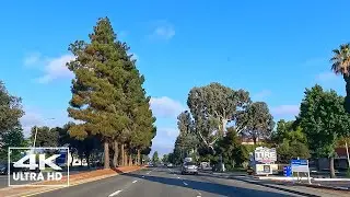 Silicon Valley Morning Commute | Relaxing POV Drive with Soothing Music