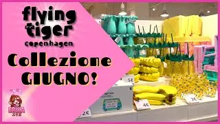 Flying Tiger tour COLLEZIONE GIUGNO 2022