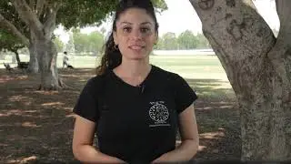 סרטון אילוף כלבים- איך ללמד את הכלב להחזיר כדור