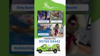 Pet Paradise: Day Boarding,Hostel, Swimming Pool & Grooming Services in Mumbai!
