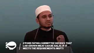 S'pore Fatwa Committee decides that lab-grown meat can be halal if it meets the requirements: Mufti