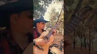 Pagode em Bras&iacute;lia / viola