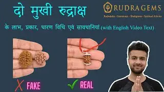 2 Mukhi Rudraksha Benefits, Types, Mantra, Wearing Procedure & Precautions | दो मुखी रुद्राक्ष हिंदी