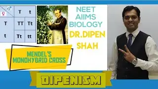 Monohybrid Cross Experiment || Principles of Inheritance | Class 12 CBSE #NEET #Biology #Dipenism
