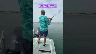 Crystal River!! #inshore #fishing