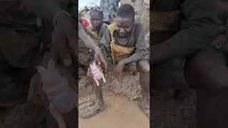 Chaba&rsquo;s First Time Seeing a Rabbit Toy